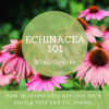 Echinacea 101 - Mini Course