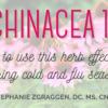 Echinacea 101 - Mini Course - Image 3