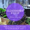 Elderberry Syrup - Mini Course