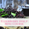 Elderberry Syrup - Mini Course - Image 3