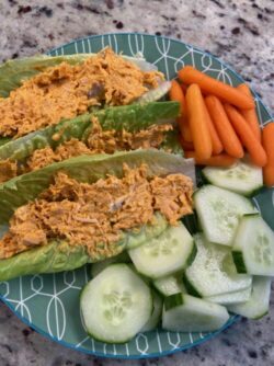 Buffalo Chicken Dip Recipe (Paleo, Gluten Free, Dairy Free)